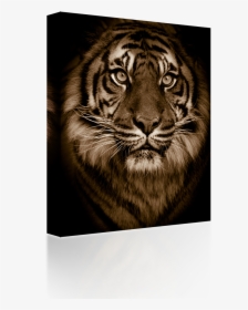 Golden Bengal Tiger Green Eyes Big Cat Zippo Lighter - Macbook Air 11 Inch Tiger Case, HD Png Download, Transparent PNG