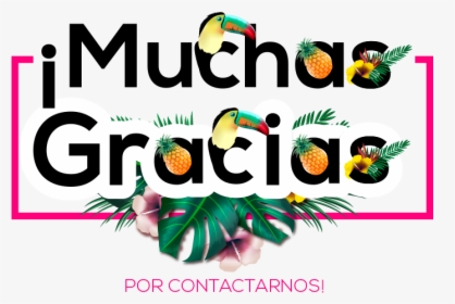 Muchas Gracias - Graphic Design, HD Png Download, Transparent PNG