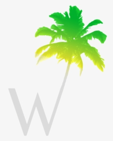 Palm Tree Vector, HD Png Download, Transparent PNG