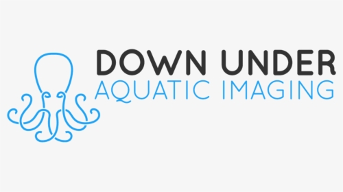 Down Under Aquatic Imaging - Calligraphy, HD Png Download, Transparent PNG