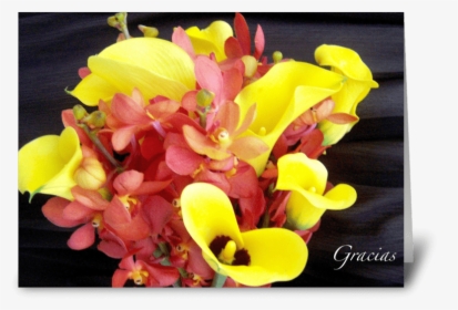 Gracias/thank You Greeting Card - Bouquet, HD Png Download, Transparent PNG