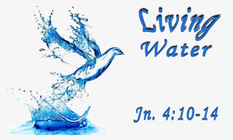 Picture1-copy - Holy Spirit Dove Water, HD Png Download, Transparent PNG