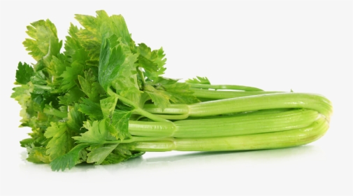 Download Celery Png File - Celery Meaning In Hindi, Transparent Png, Transparent PNG