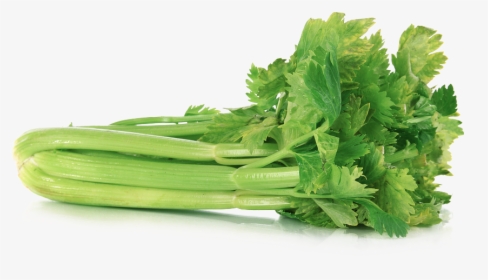 Celery Transparent Png - Green Colour Vegetables Name, Png Download, Transparent PNG