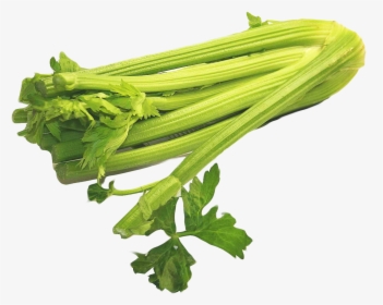 Celery Png Image - Celery Png, Transparent Png, Transparent PNG