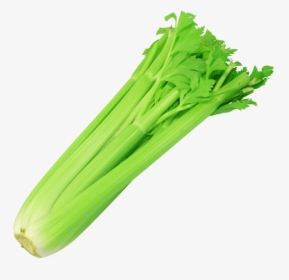 Transparent Celery Png - Celery Png, Png Download, Transparent PNG