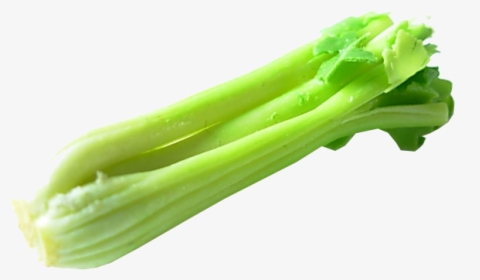 Celery Png Transparent - Transparent Background Celery Png, Png Download, Transparent PNG