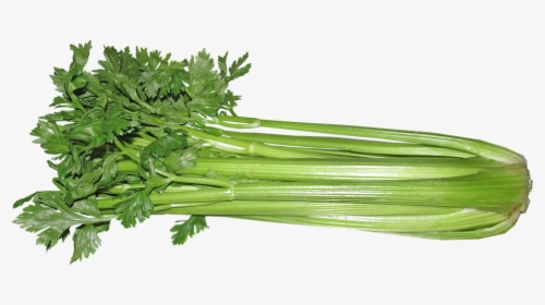 Celery, Vegetable, Food, Vegetarian, Cooking - Rau Celery, HD Png Download, Transparent PNG