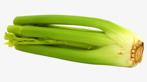 Celery Png Image - Celery, Transparent Png, Transparent PNG