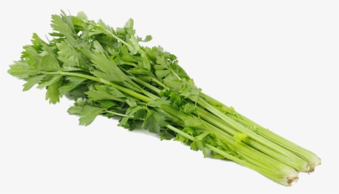 Celery Bunches - Celery, HD Png Download, Transparent PNG