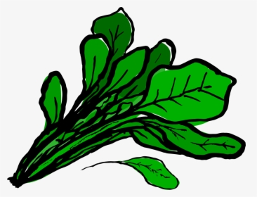 Huge Collection Of Celery Clipart - Clipart Spinach Transparent Background, HD Png Download, Transparent PNG