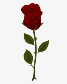 Dark Flower Png - Dark Red Rose Clipart, Transparent Png, Transparent PNG