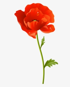 Clip Art Poppy Flowers Clipart - Poppy Flower Png, Transparent Png, Transparent PNG