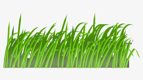 Grass, Lawn, Green, Nature, Spring, Meadow, Summer - Cartoon Lawn, HD Png Download, Transparent PNG