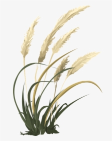Wheat, Grass, Agriculture, Nature, Field, Growth - Black And White Wheat Drawing, HD Png Download, Transparent PNG