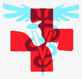 Doctor Symbol Clipart Hospital - Veterinary Medicine, HD Png Download, Transparent PNG
