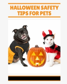 Dog Cat Safety Halloween - Halloween Perros Y Gatos, HD Png Download, Transparent PNG
