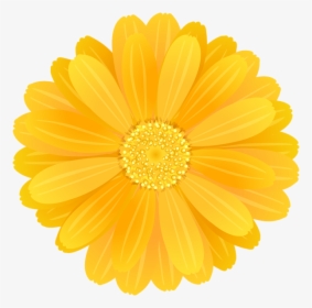 Transparent Yellow Flower Png - Yellow Flower Transparent Background, Png Download, Transparent PNG
