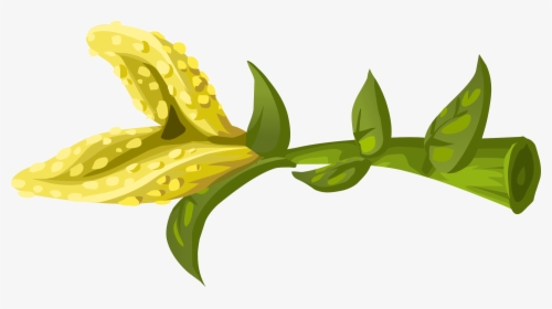 Herbs Yellow Crumb Flower Clip Arts - Portable Network Graphics, HD Png Download, Transparent PNG