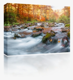 Transparent Water Stream Png - Ruscelli In Autunno, Png Download, Transparent PNG