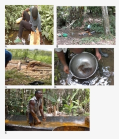 Different Uses Of Stream Water In The Area - Uses Of Stream, HD Png Download, Transparent PNG