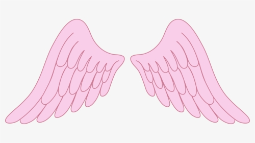 Transparent Angel Wings Vector Png - Baby Angel Wings Png, Png Download, Transparent PNG