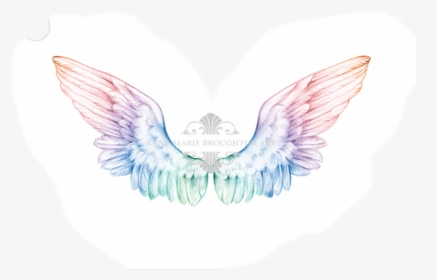 Angel Wings Pencil Drawing - Drawing, HD Png Download, Transparent PNG