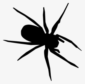 Tangle Web Spider Drawing Computer Icons Encapsulated - Black And White Spider Drawing, HD Png Download, Transparent PNG