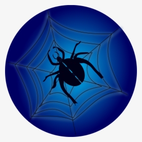 Spider On Web - Spider, HD Png Download, Transparent PNG
