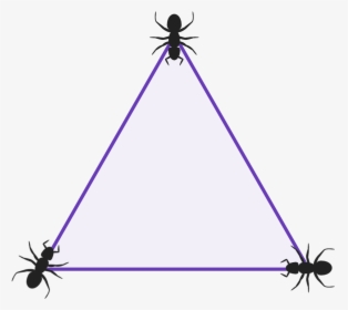 Diagram Of A Triangle With 3 Ants Sat One At Each Vertex - Triangle, HD Png Download, Transparent PNG