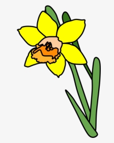 Daffodil, Yellow, Orange - White Black Daffodil Png, Transparent Png, Transparent PNG