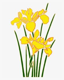Yellow Iris Flower Cartoon, HD Png Download, Transparent PNG