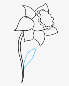 How To Draw Daffodil - Line Art, HD Png Download, Transparent PNG