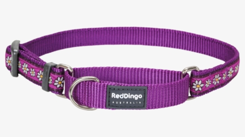 Martingale Daisy Chain Dog Collar - Dog Chain Collar Png, Transparent Png, Transparent PNG