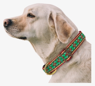 Morocco Flower Dog Collar With Bow Tie & Keychain Included - Dog With Seresto, HD Png Download, Transparent PNG