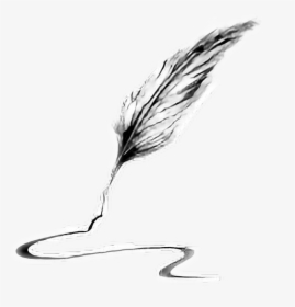 Quill Clipart Pluma - Write Feather, HD Png Download, Transparent PNG