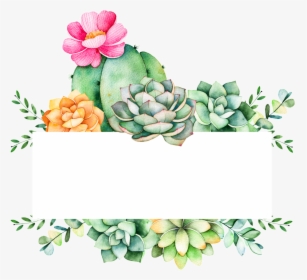 Easy To Grow Plants Cartoon Transparent - Cactus Cartoon Transparent Succulents, HD Png Download, Transparent PNG