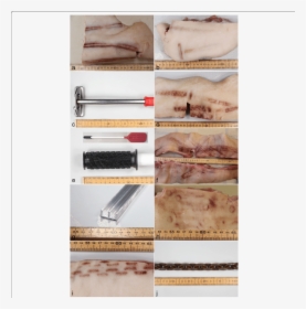 The Patterns Of Bruises On Pig Skin And Objects Clearly - Andouillette, HD Png Download, Transparent PNG