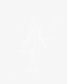 Johns Hopkins Logo White, HD Png Download, Transparent PNG