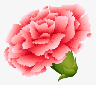 Vector Transparent Download Png Button Flowers And - Draw Different Type Of Flowers, Png Download, Transparent PNG