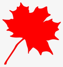 Leaves Maple Leaf Clipart Black And White Free Clipart - Maple Leaf Clip Art, HD Png Download, Transparent PNG