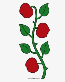 Apple Green Leaf Clipart Png - Apple Tree Branch Clipart, Transparent Png, Transparent PNG