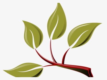 Branch With Leaves Clipart, HD Png Download, Transparent PNG