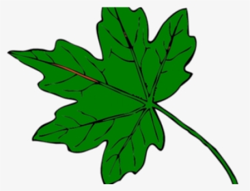 Green Leaf Clipart - Green Maple Leaf Clipart, HD Png Download, Transparent PNG