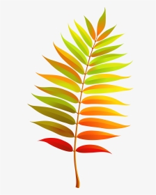 Colorful Transparent Fall Leaf Clipart - Fall Leaf Clipart Transparent, HD Png Download, Transparent PNG