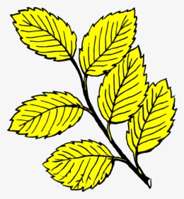Leaves Black And White, HD Png Download, Transparent PNG