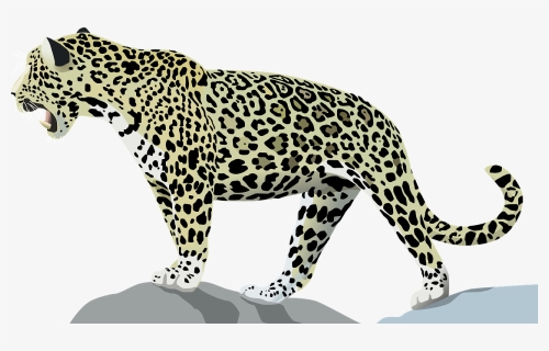 Jaguar, Animal, Cat, Wild, Jungle, Mammal, Feline - Transparent Jaguar Clip Art, HD Png Download, Transparent PNG