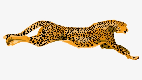 Wildlife,small To Medium Sized Cats,jaguar - Cheetahs Clipart, HD Png Download, Transparent PNG