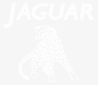 Jaguar - Illustration, HD Png Download, Transparent PNG