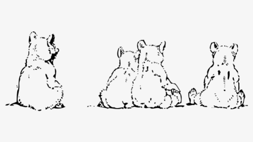 Bear, Polar, Cubs, Little, Wild, Animals, Young - Bear Cubs Black And White, HD Png Download, Transparent PNG